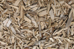 biomass boilers Ardminish